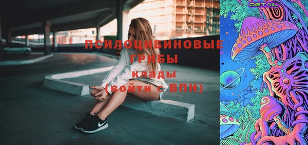СК Арсеньев